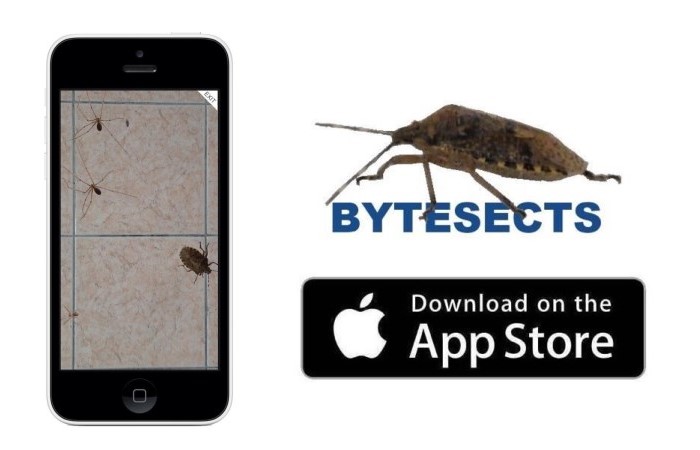 IOS FREE GAME